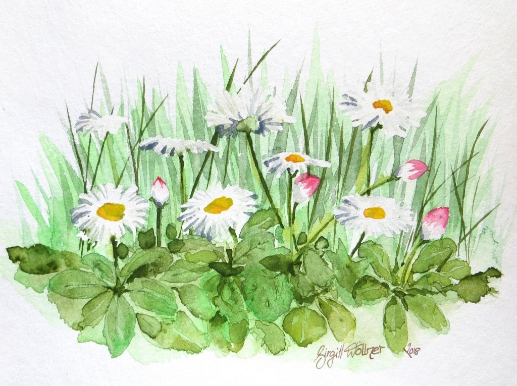 &quot;Bellis&quot;