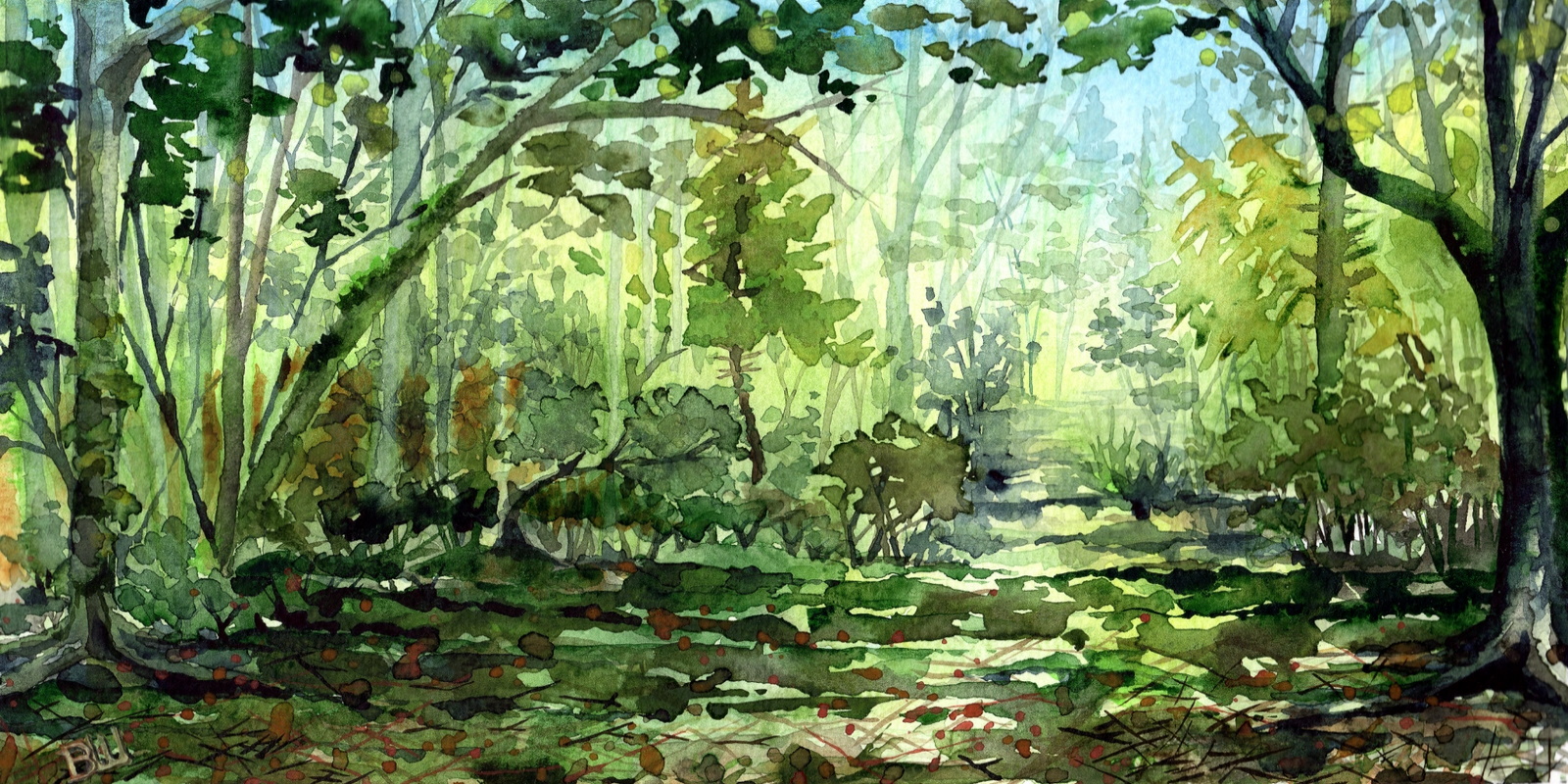 into the wild