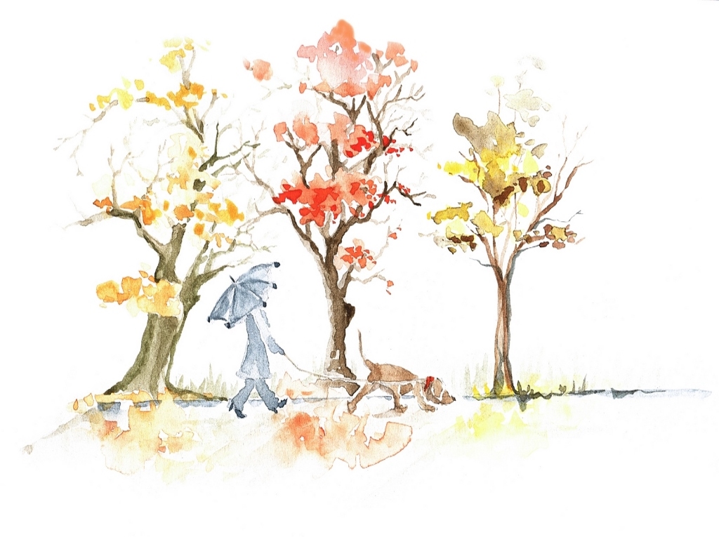 Novembergrau