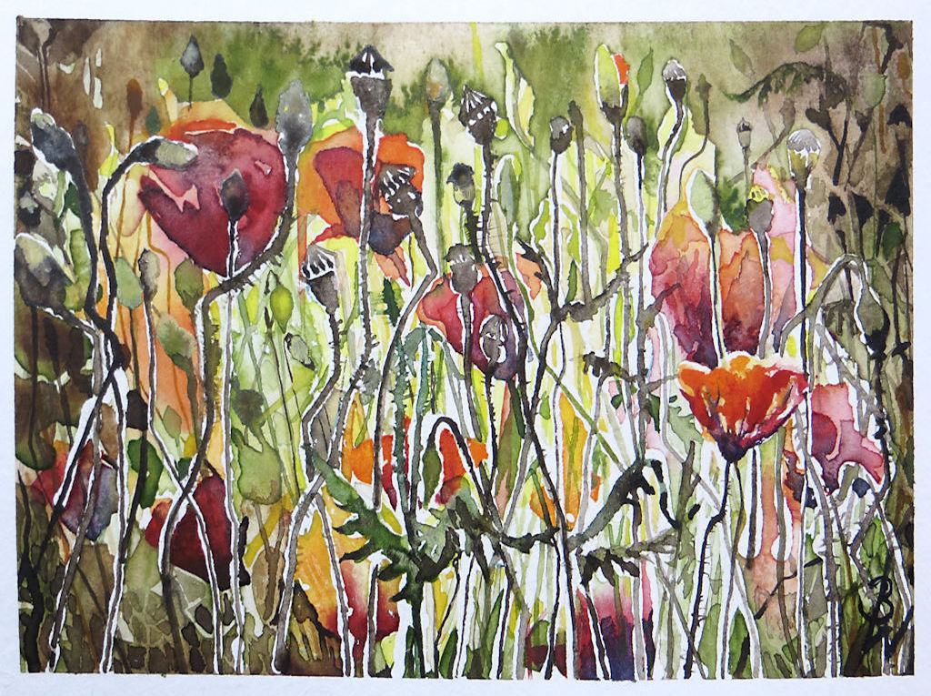 später Mohn