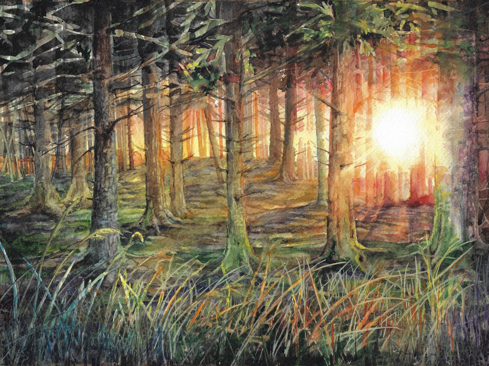 Waldsonne